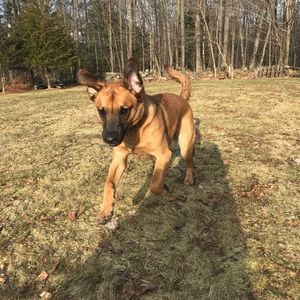 Meet your Posher, Michelle